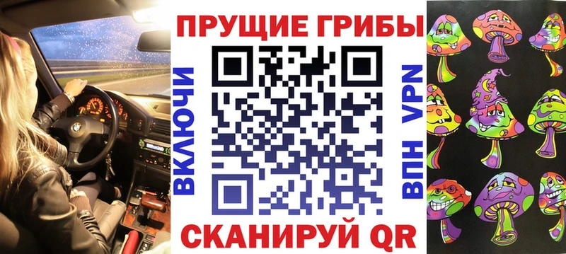 kraken ТОР  Сыктывкар  Галлюциногенные грибы Psilocybe 