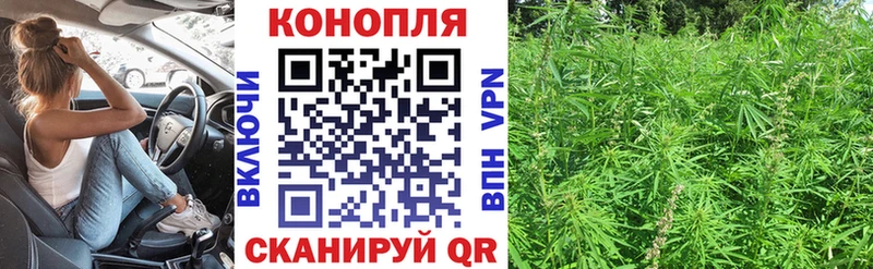 Шишки марихуана Amnesia  Сыктывкар 